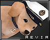 R║ Puppy Ship Captain