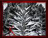 [Der]Snow Tree Kiss
