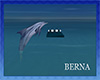 Flotador pose con delfin