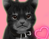 Mina Cat 3 ♦