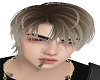 Y HAIR ZOO