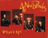4 Non Blondes -What's up