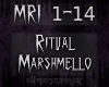 {MRI} Ritual- Marshmello