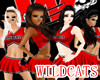 Wildcats Cheerleaders