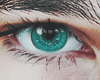 Eyes Persia Green