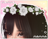 𝓶. flower crown