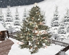 Outdoor Christmas Tree