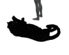 |V| Black Leopard