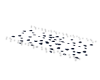 blue petals
