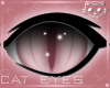 Pink Eyes 2b Ⓚ