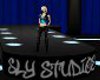 Sly Studios Showroom