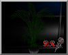 red's plant