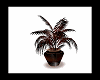 brown plant 