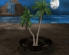 LM:Secret Palm tree 