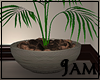 J!: Brenn Plant v2