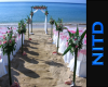 [Nitd] Beach Wedding BK