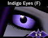 Indigo Eyes (F)