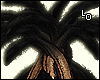 Palms Dread 1/2