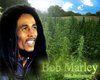JMR Bob Marley Sticker