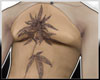 8.nudeii