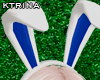 KT♛Ears Bunny