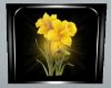 Daffadil Picture