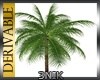 3N:DER: Palm Tree 02