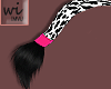 417│Tails