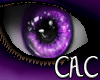 [C.A.C] Higgle M Eyes