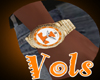 -bamz-Vols watch gold