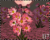 Spring Pink Flowers