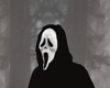 HALLOWEEN  PANICO