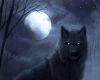 6v3| Wolf Pack