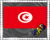 Tunisia Flag bracelet 