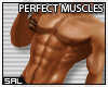 [AJ] Muscled Torso