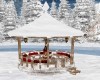 Winter Gazebo / FirePit