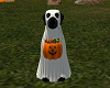 Dog Trick or Treater