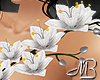 -V- White Orchids