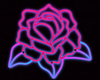 :Neon Rose: