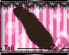 Brown Cat Tail