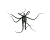 Green Tentacles