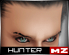 HMZ: ~Vigilanti~