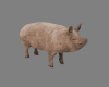 Animated Farm Pig