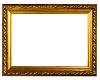 !DiLuciano