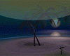 T-Night beach island