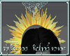[A] Solar Halo