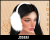 Winter Ear Muffs