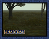 JL Autumn Grass
