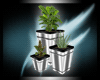 [DD]SophMe-3 Plant Set