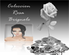 Rosa Brignole Negro *BS